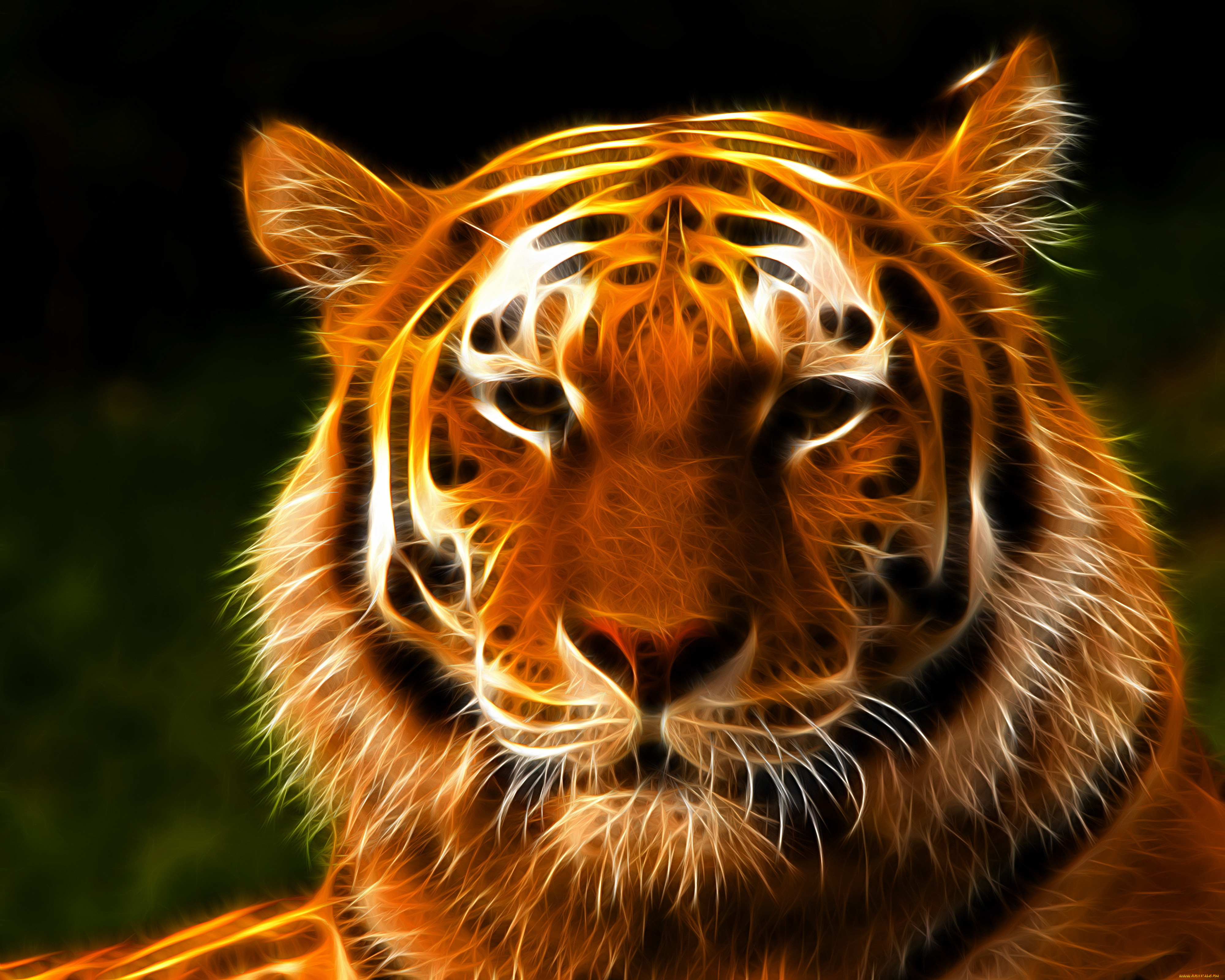 Animal 1 hour. Амурский тигр 3d. Тигр морда. Красивый тигр. Заставка на рабочий стол тигр.
